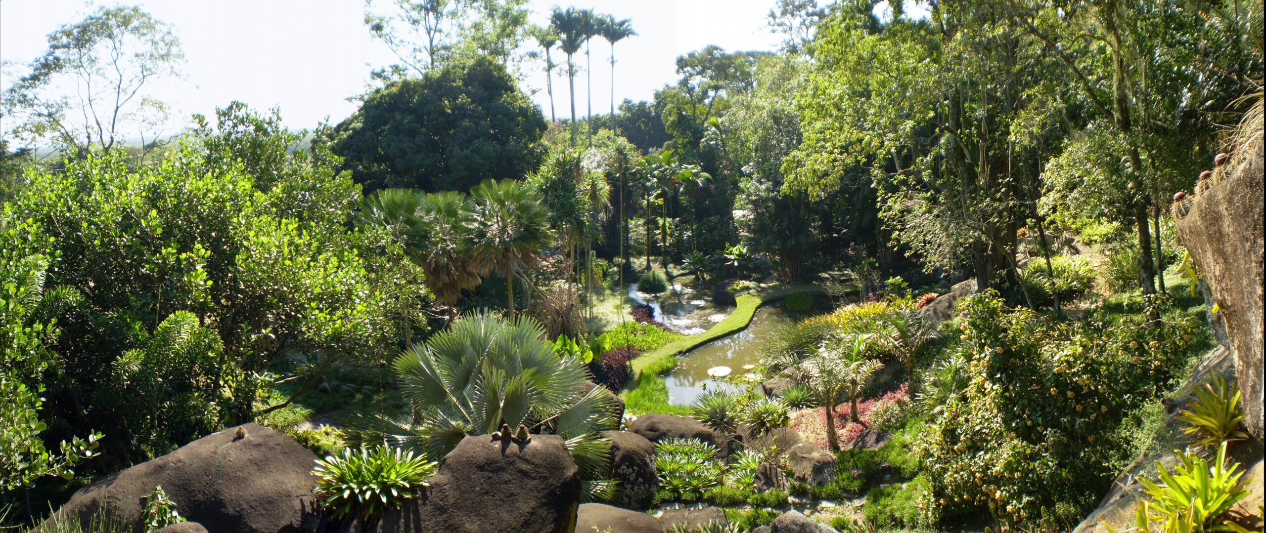 Burle Marx